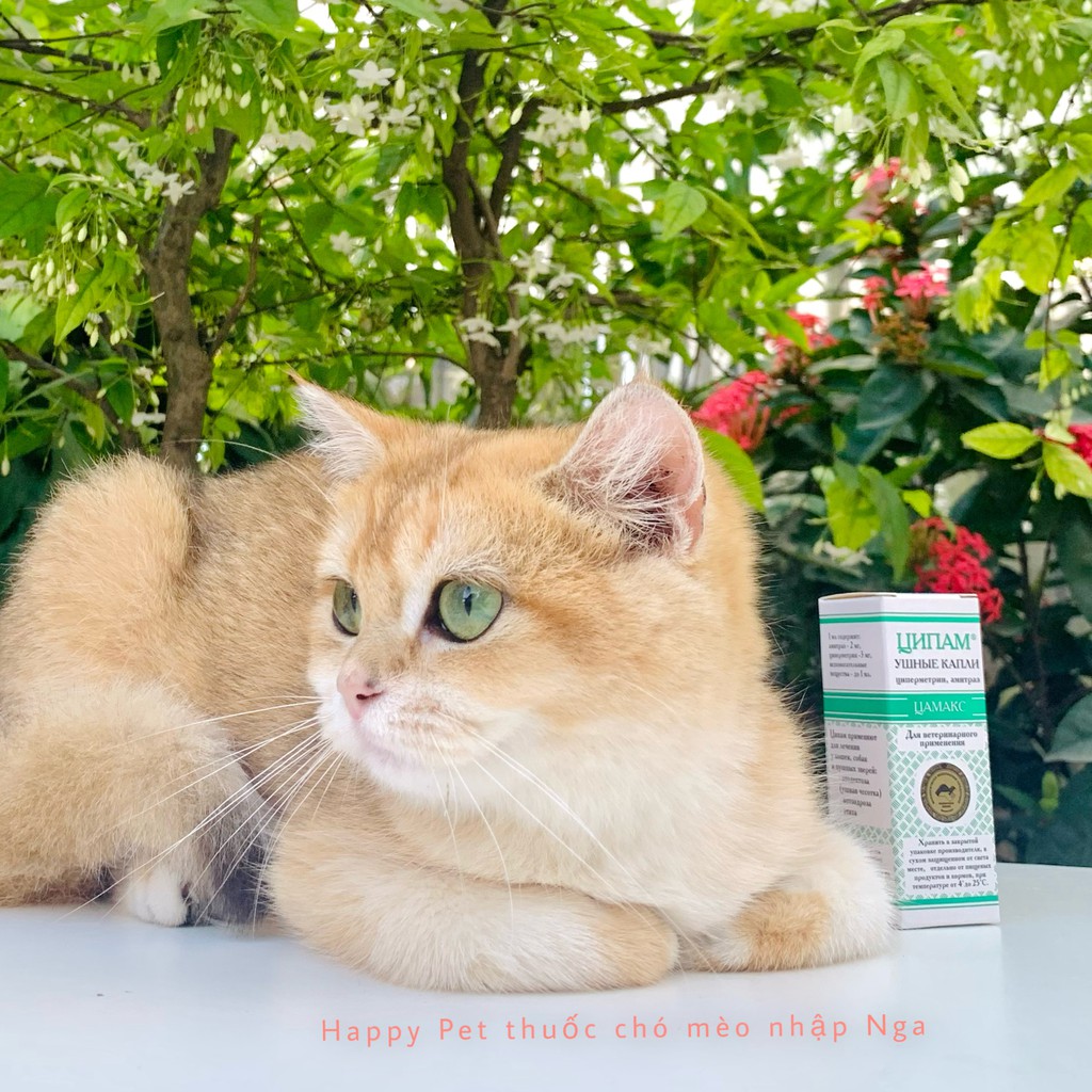 Thuốc nhỏ tai trị rận tai, viêm tai cho chó mèo nhập Nga