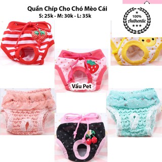 Quần chíp cho chó mèo - Quần chip cho thú cưng