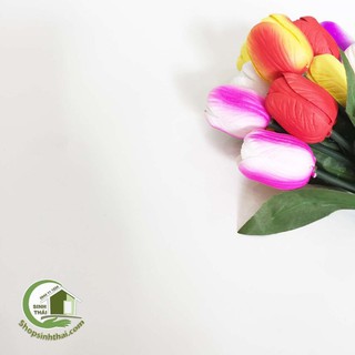 Giấy dán tường màu trắng nhám - màu be - khổ 1,2m - có sẵn keo