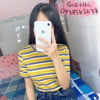 Áo thun body sọc tay ngắn