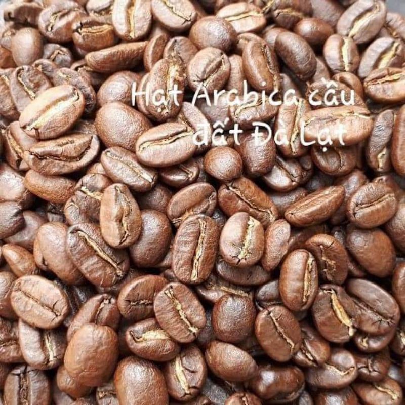 Cà phê PHA MÁY HẠT MỘC Arabica Catimor Cầu Đất - Đà Lạt _ vị CHUA THANH HẬU NGỌT THƠM NHẸ NHÀNG