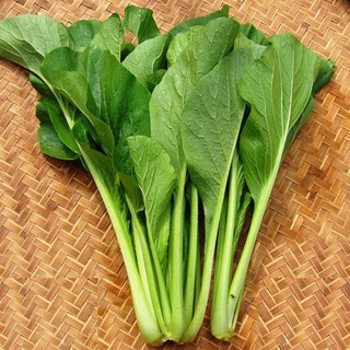 [Rẻ Vô Địch] Hạt giống Rau Cải Ngọt cọng xanh (20gr)