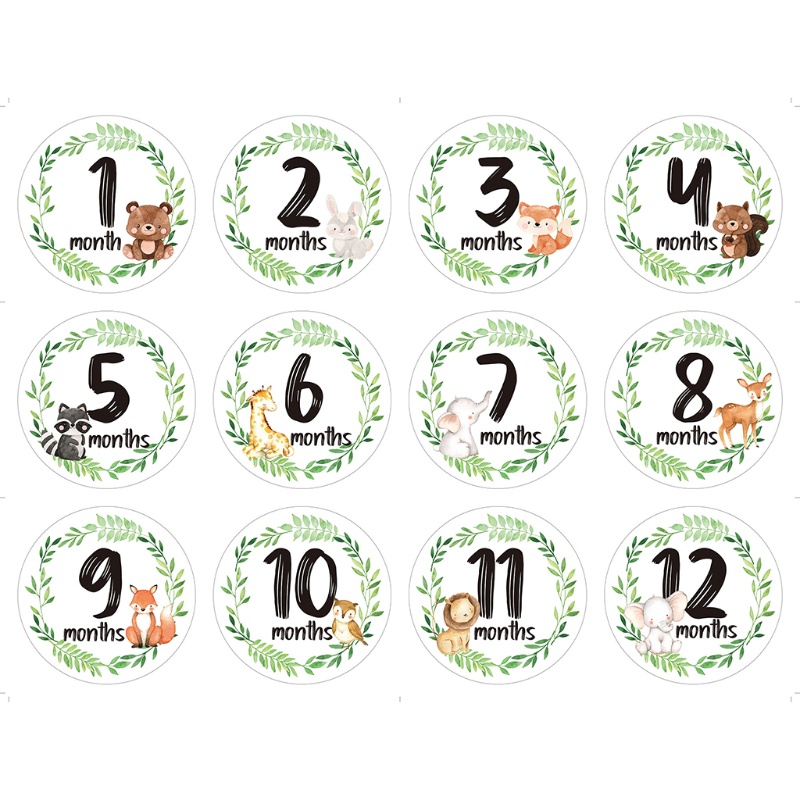 Set 12 miếng dán đánh dấu cột mốc phát triển theo tháng cho bé sơ sinh