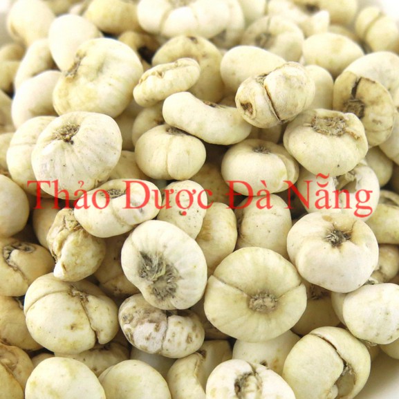 Thổ Bối Mẫu loại 1 _100 gram