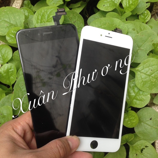 Màn hình Iphone 6 - 6 Plus