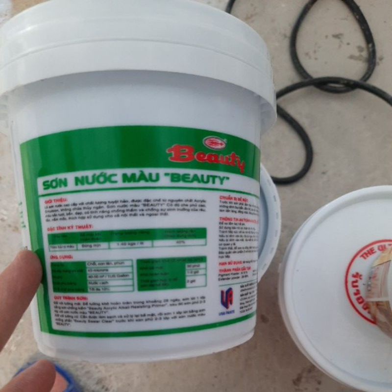 Sơn nước màu ngoại thất Beauty màu xanh đá hộp 1l, 1.4kg