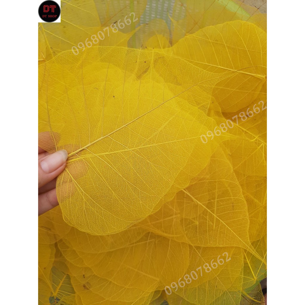 Xương lá bồ đề nhuộm vàng tự nhiên size vừa