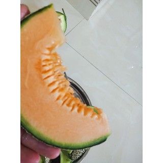 10 hạt dưa lưới honey red