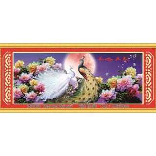 Tranh thêu chữ thập vợ chồng chim công kt 195x82
