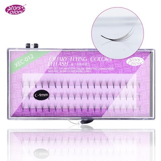 Mi hoa sơn trà tím xec-012