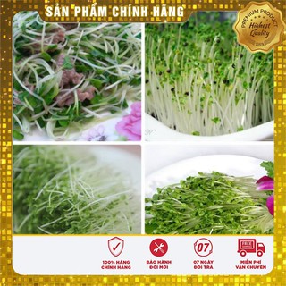 Hạt Giống Rau Mầm Cải Ngọt Trắng(50gr)