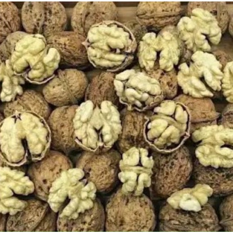 Óc chó nếp sâp 1kg loaii 1