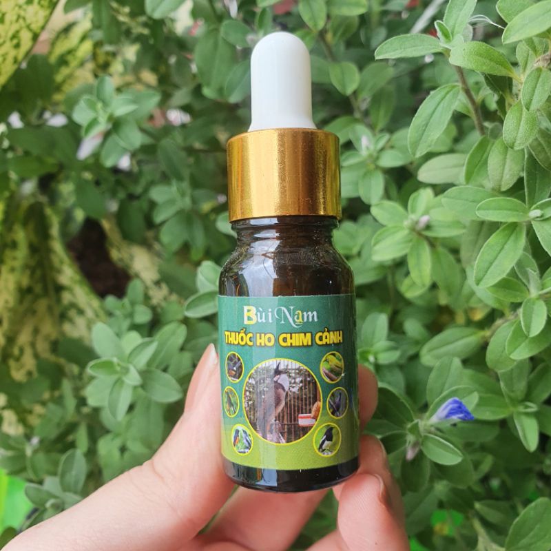 Nước ho, tiêu chảy, vitamin chim cảnh Bùi Nam