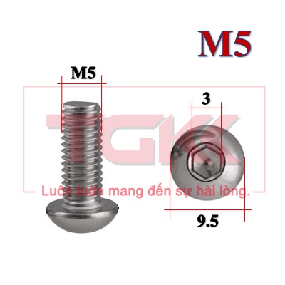 Bulong Lgc Chỏm Cầu Inox 304 M5