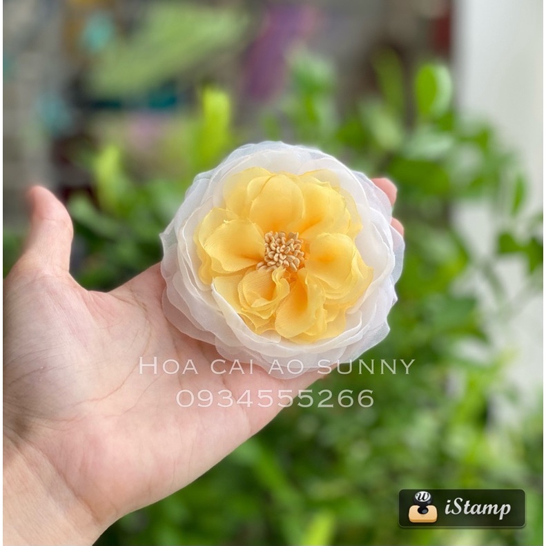 Hoa cài áo Handmade - Hoa hồng juliet nhiều màu cài áo Sunny MS01