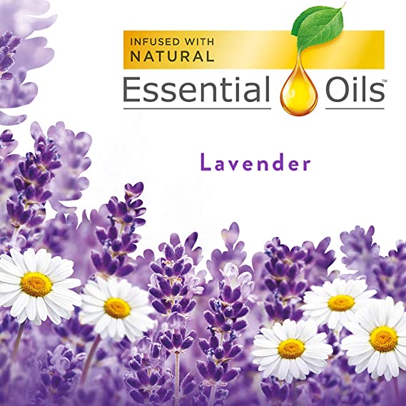 Tinh Dầu Air Wick Essential Oils Hương Lavender [Hàng Mỹ]