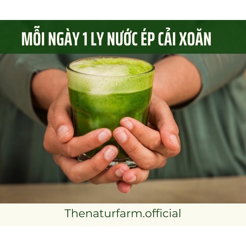 Bột cải kale organic  bột cải xoăn  sấy lạnh - đẹp da, giảm cân, detox, - ảnh sản phẩm 5