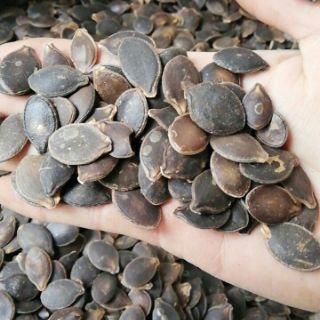 Hạt bí mèo đen Hà Giang rang củi 500gr