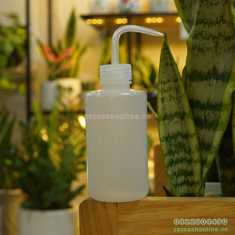 Bình tưới sen đá xương rồng cây cảnh mini để bàn tiểu cảnh