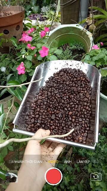 [ FREESHIP TỪ 99K ] Cà phê nguyên chất không pha trộn | BigBuy360 - bigbuy360.vn