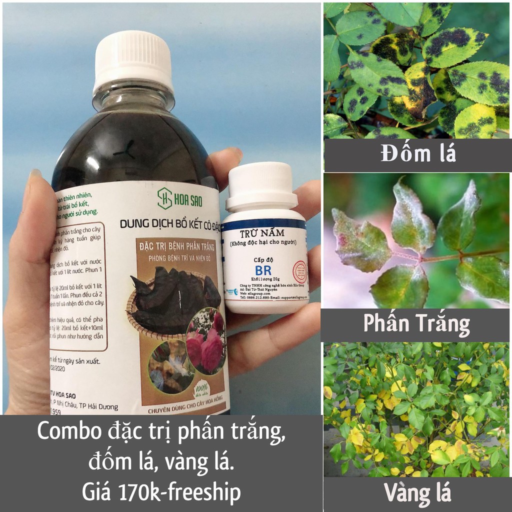 Combo trĩ, nấm, nhện, đốm lá,vàng lá