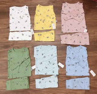 Bộ peekaboo cạp cao chất thun lạnh
