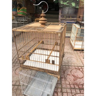 lồng đấu chào mào gỗ muồng