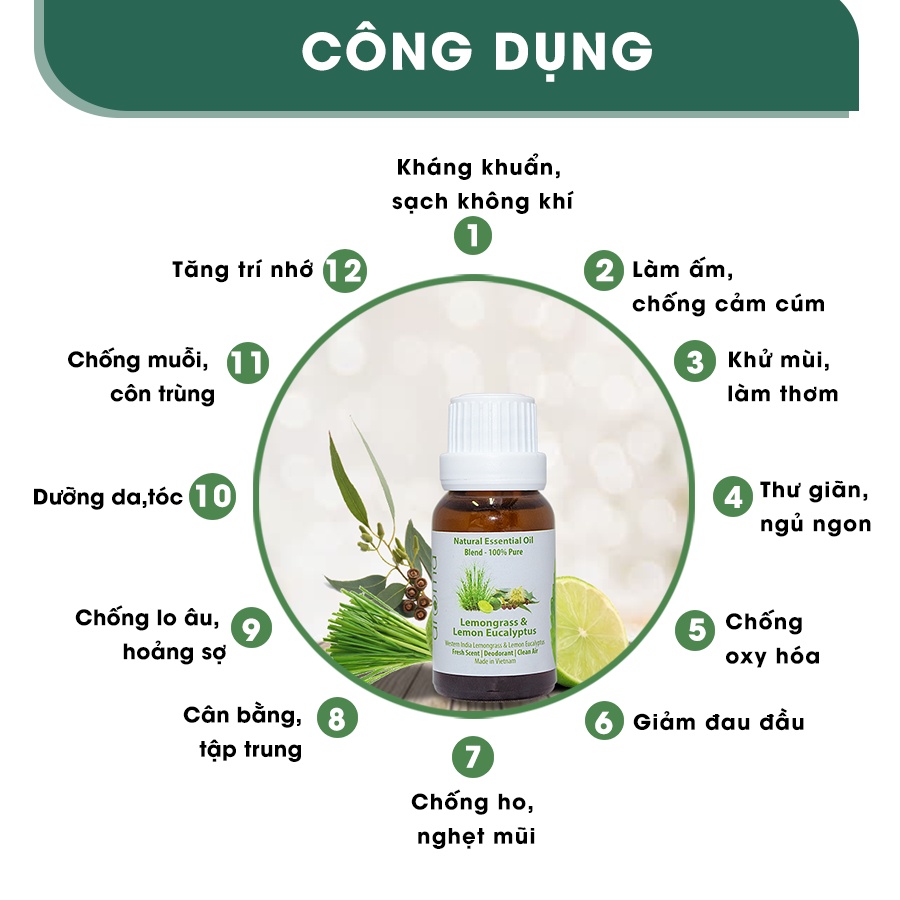 Tinh dầu Sả Chanh Bạch Đàn Chanh Aroma Lemongrass Lemon Eucalytus Essential Oil 10ml