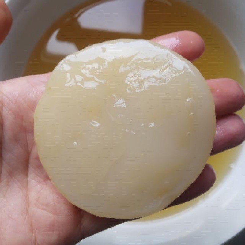 Scoby làm trà thuỷ sâm kombucha
