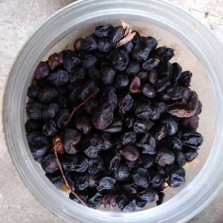 Hạt móc mật(mắc mật)