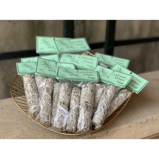 Noscere | Cây xô thơm trắng White Sage (Combo 3 bó 4 inches)