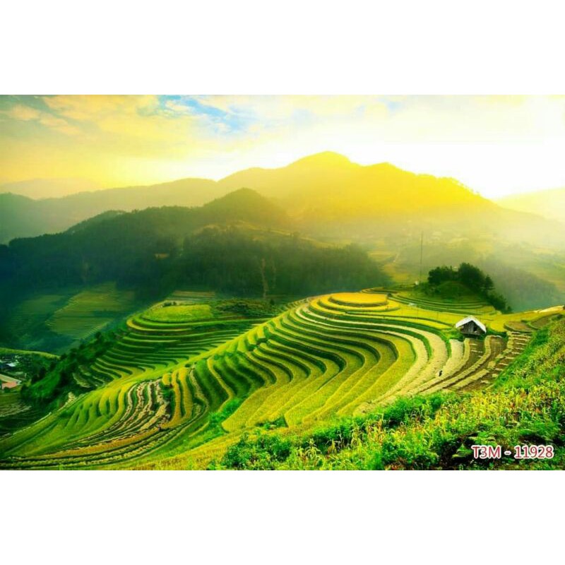 Tranh lụa ruộng bậc thang in vải lụa KT ngang 1.25m*0.8m