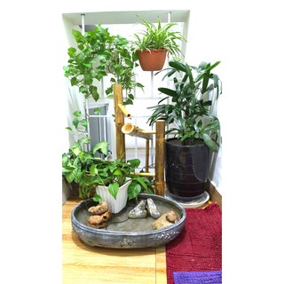 Thác nước phong thủy  tre- Size lớn (60Cm)