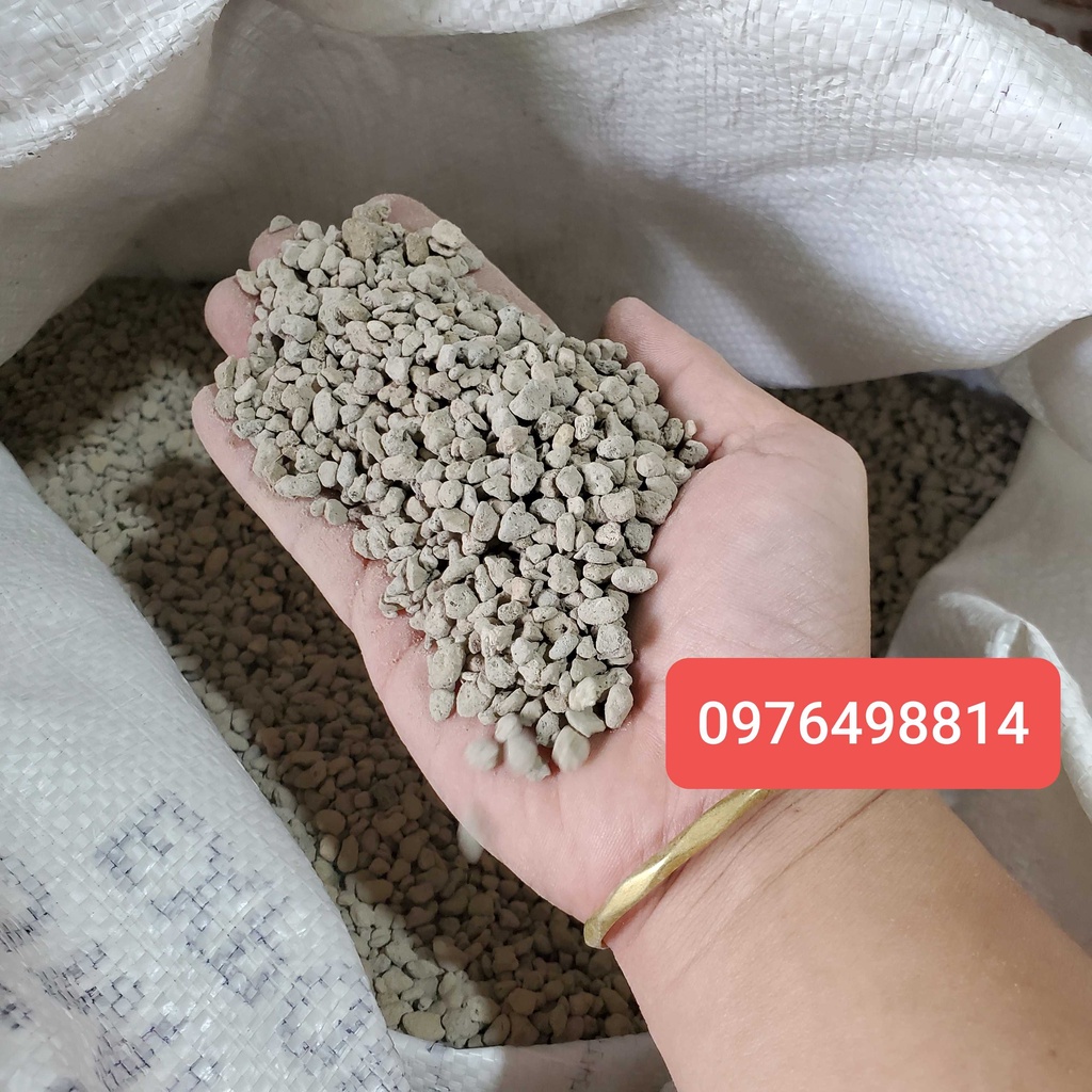 Đá pumice nhập khẩu siêu tốt sen đá và xuong rồng