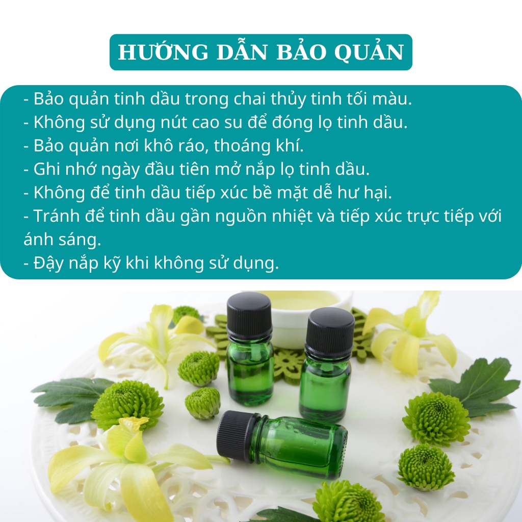 Tinh dầu thiên nhiên thơm phòng đuổi muỗi bạc hà cao cấp Nesfarm BH10