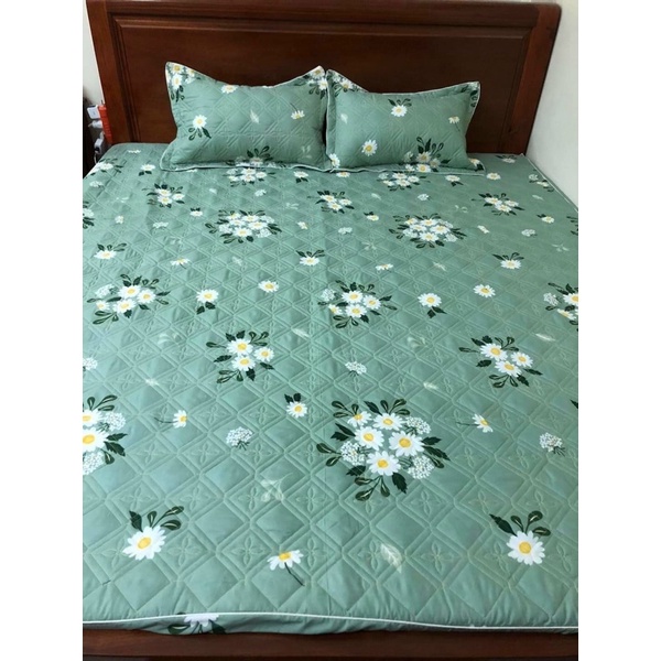 (Set 5 món) Bộ Chăn Ga Gối Trần Bông Đủ size(ga chun trần bông)