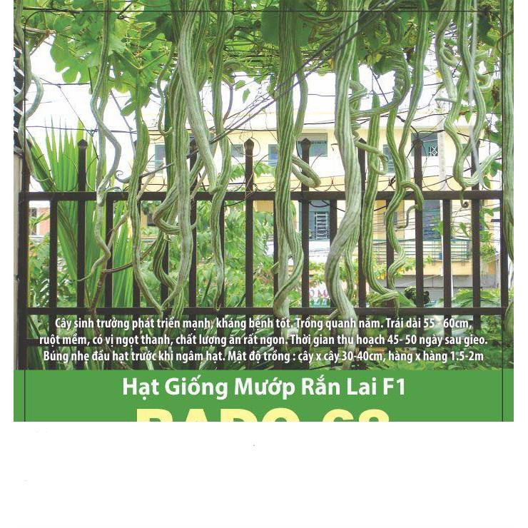 Mướp Rắn  Dế Trồng, Năng Suất Cao 5 Hạt