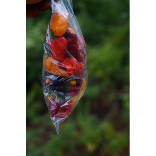 100 gram trái ớt tươi  mix đủ loại, đủ màu