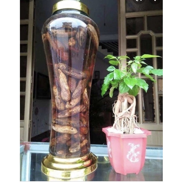 Chuối Hột Rừng Lai Châu [ Giá Huỷ Diệt 1kg chuối mật ]