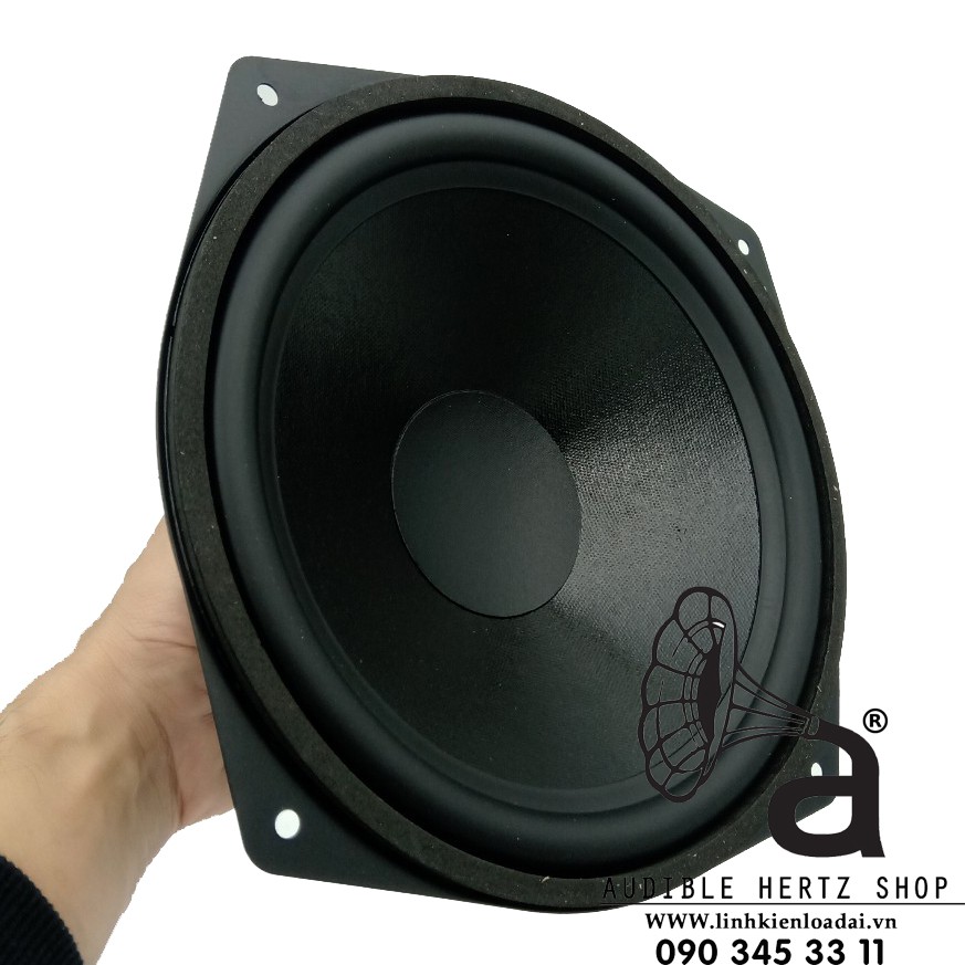 Củ loa bass rời 25cm Visaton WS 25 E, giá bán theo cặp