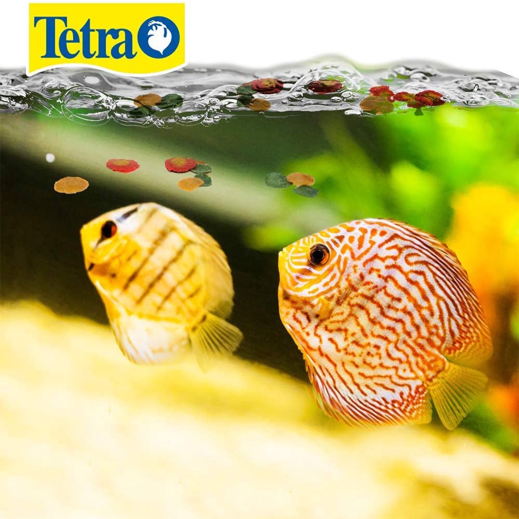 TETRA - Tetra Pro Tropical Color Crisps  | Thức ăn hỗ trợ tăng màu sắc cho cá cảnh thủy sinh