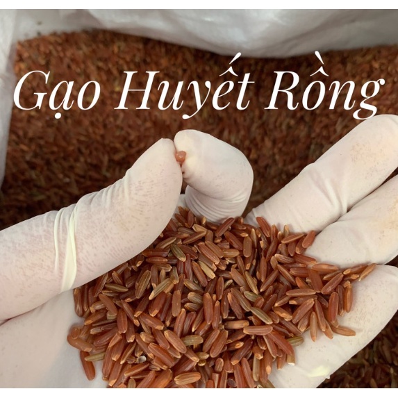 [ HCM Giao Hỏa Tốc] Bột Gạo Lứt Nảy Mầm 100% Nguyên Chất Gia Hân 500gr