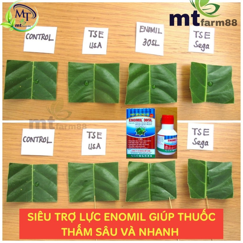 Thuốc Starner 20WP [100gr] - Mẫu Mới – Đặc trị vi khuẩn gây bệnh bạc lá lúa, lem lép hạt, thối nhũn - SUMITOMO - NHẬT