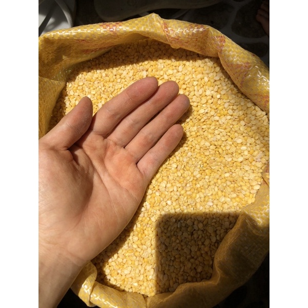 1kg ĐẬU XANH CÀ SẠCH VỎ-ĐẬU XANH NHÂN-ĐỖ XANH CÀ SẠCH
