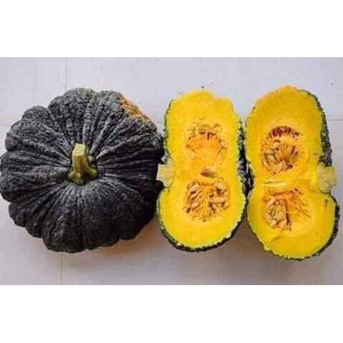 HẠT BÍ ĐỎ DA CÓC F1 - GÓI 2 GRAM