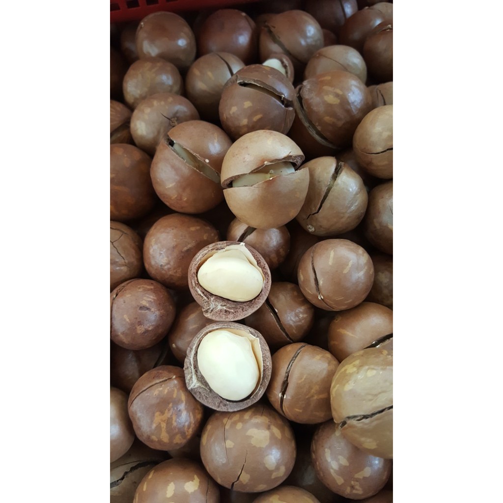 Mắc ca  - nhập khẩu Úc, 500g