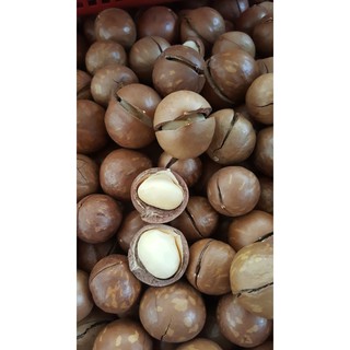 Mắc ca (Macadamia) - nhập khẩu Úc, 500g