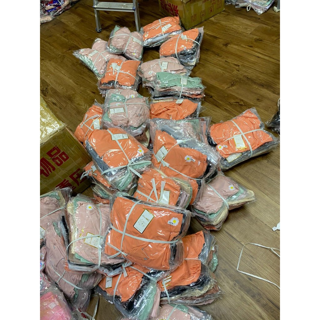 Quần lót nữ❤️ Combo 10 Quần su 1038 hoa cúc❤️Chất mềm mịn,thấm hút mồ hôi