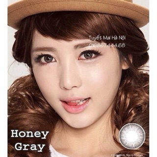 Lens xám Honey Gray Vassen