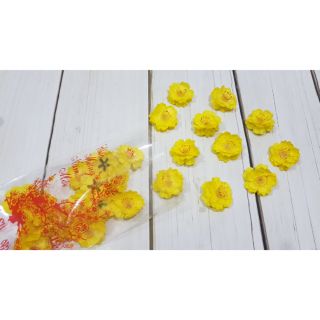 Hoa mai, hoa đào rời loại đẹp 3 cánh